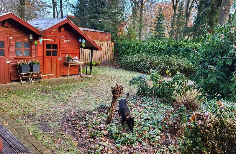 Hond meenemen op vakantie